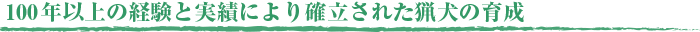 100年以上の経験と実績により確率された猟犬の育成