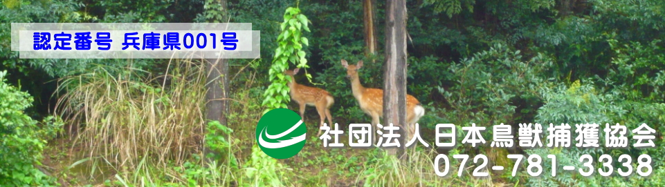 日本鳥獣捕獲協会